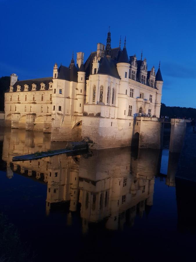 18 châteaux et Beauval sur un rayon de 30 km Acomodação com café da manhã Saint-Georges-sur-Cher Exterior foto